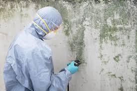 Best Mold Odor Removal Services  in Pittsburg, KS